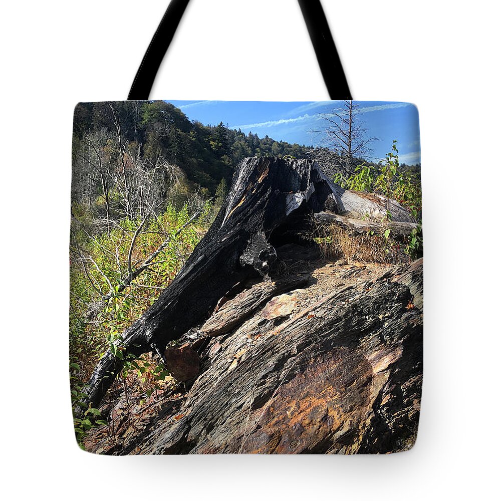Chimney Tops Tote Bag featuring the photograph Chimney Tops 20 by Phil Perkins