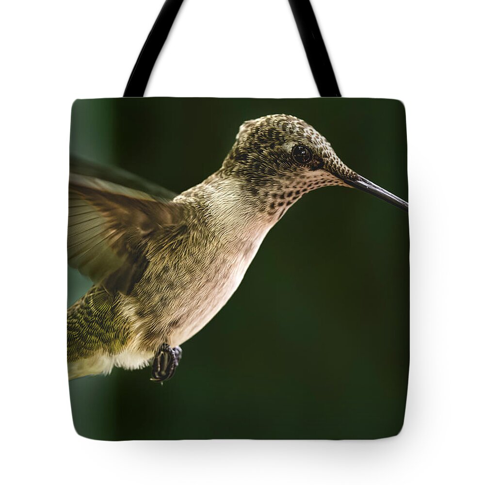 Hummingbirds Tote Bag featuring the photograph Chin Up, Mrs. Hummer by Jim Wilce