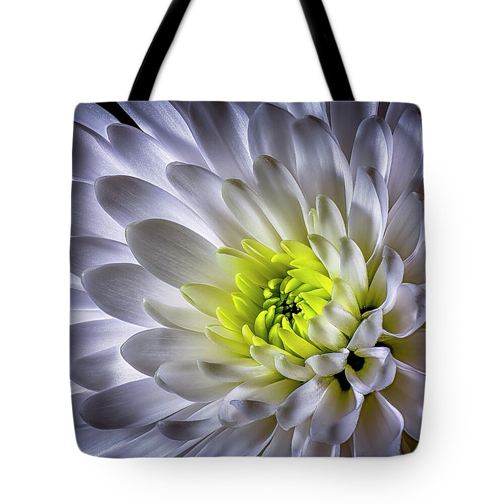 White China Astor Tote Bag featuring the photograph China Astor by Endre Balogh