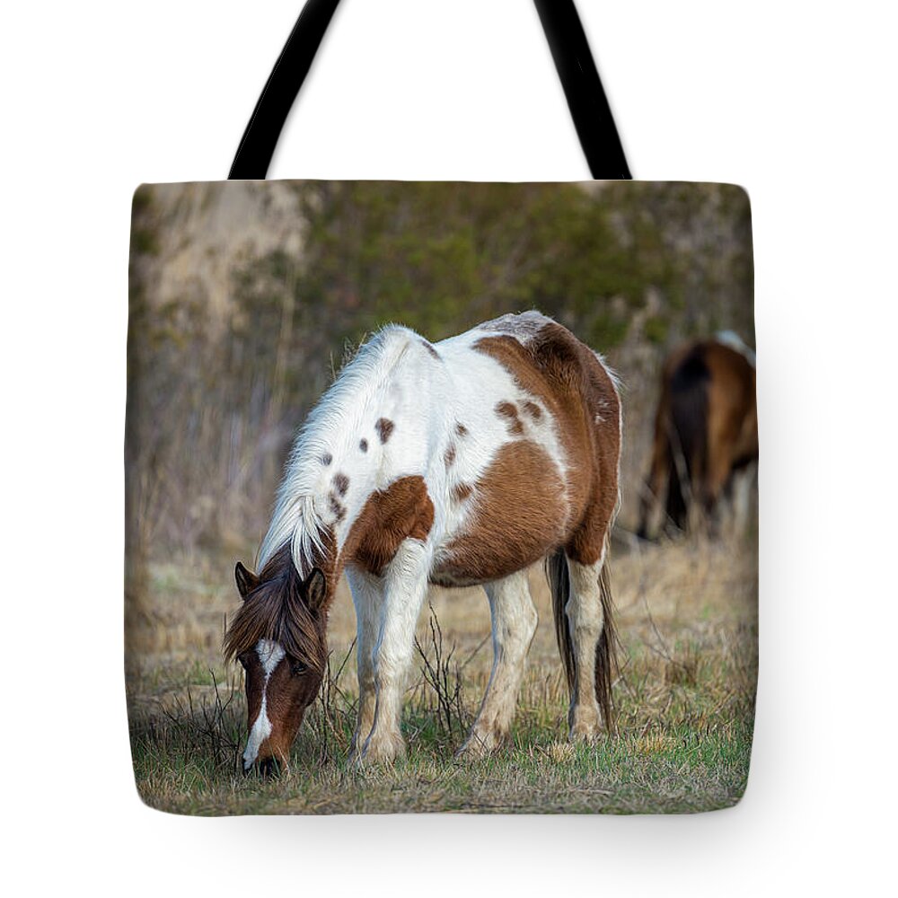 Horse Tote Bag featuring the photograph Chincoteague Pony 3 by Cindy Lark Hartman
