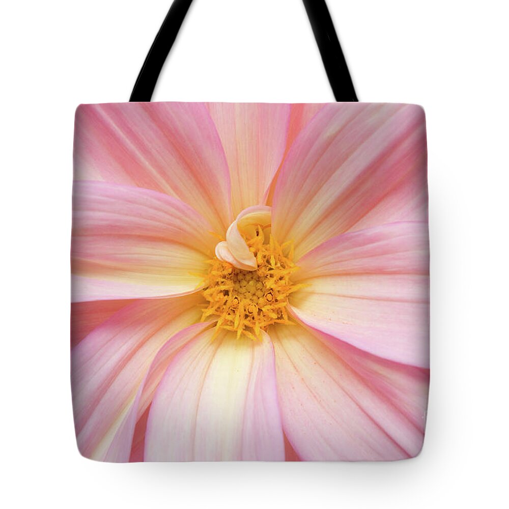 Nature Tote Bag featuring the photograph Chinese Chrysanthemum Flower by Julia Hiebaum