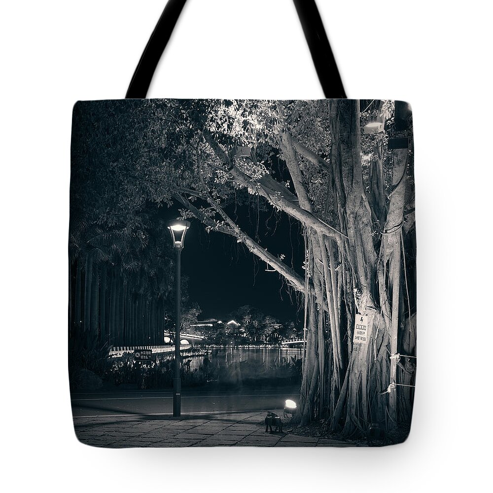 Pond Tote Bag featuring the photograph Chinese Park Silence by Andrii Maykovskyi