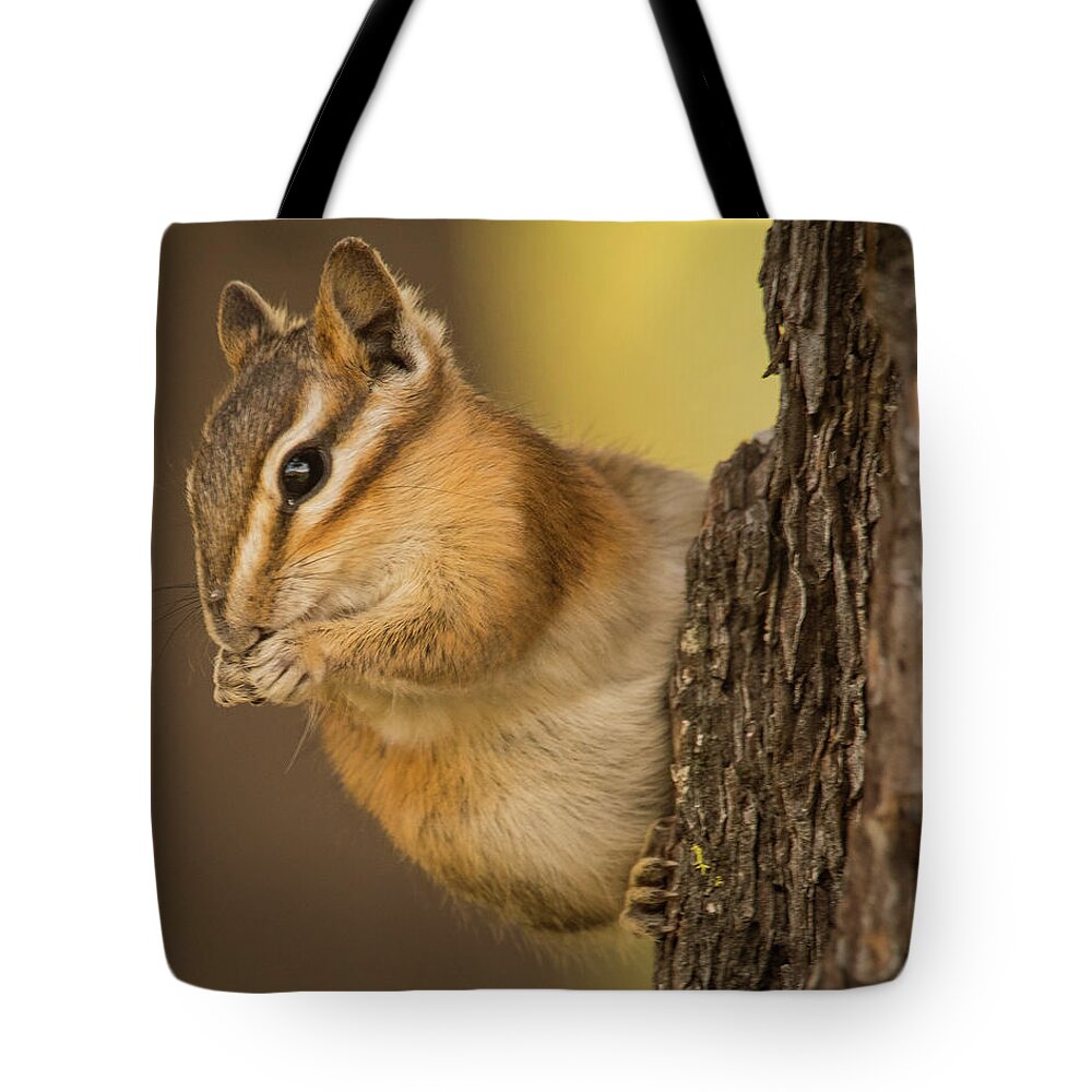 Chipmunk Tote Bag featuring the photograph Chipmunk Munching by Janis Knight