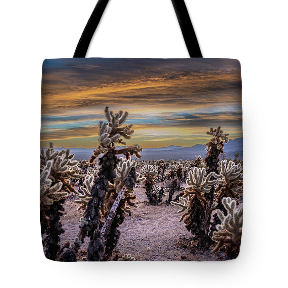 Cholla Tote Bag featuring the photograph Cholla Cactus Jungle by George Buxbaum