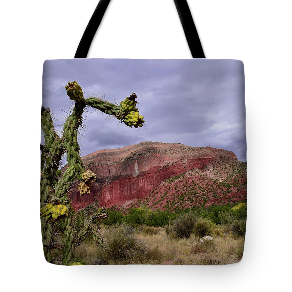 Jemez Mountains Tote Bag featuring the photograph Cholla by Segura Shaw Photography
