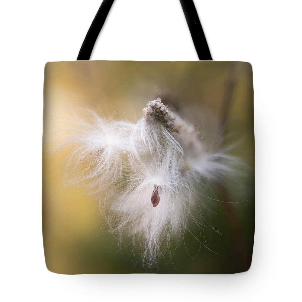 Milkweed Tote Bag featuring the photograph Circle of Life by Forest Floor Photography