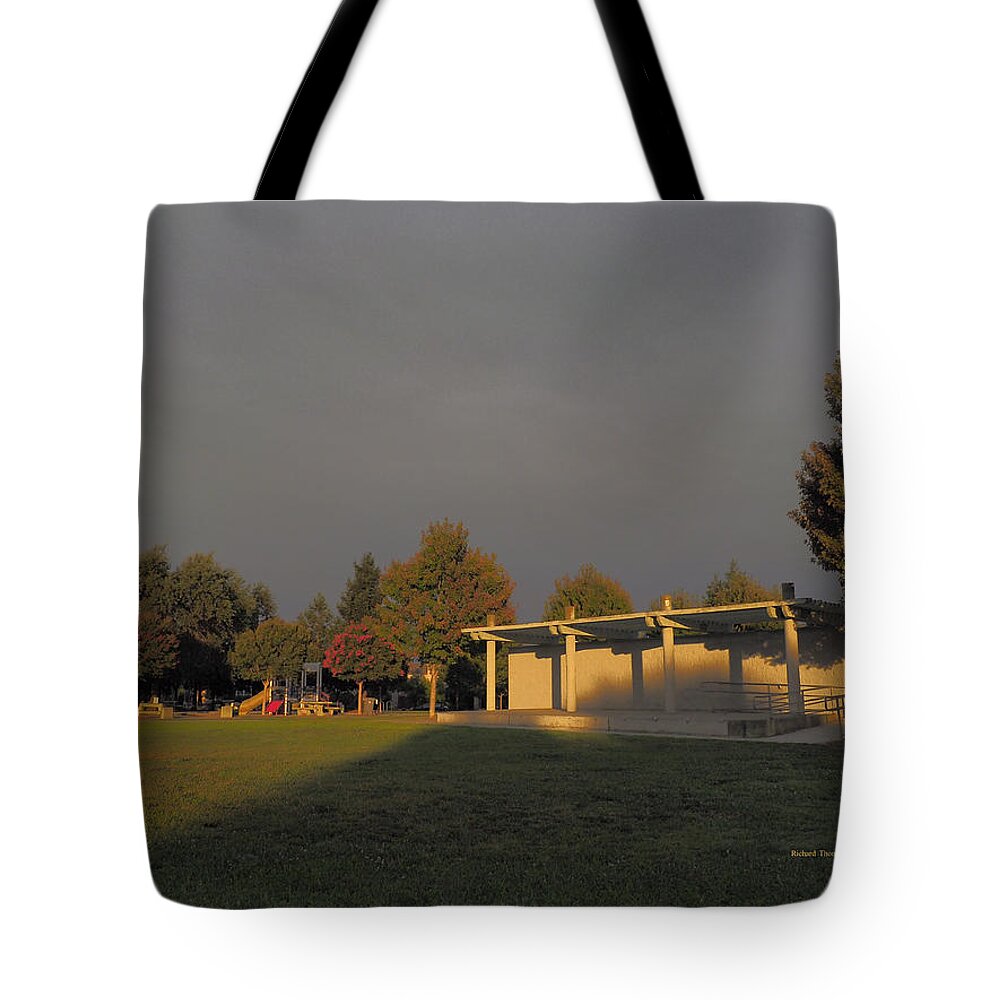Landscape Tote Bag featuring the photograph City Park Performing by Richard Thomas