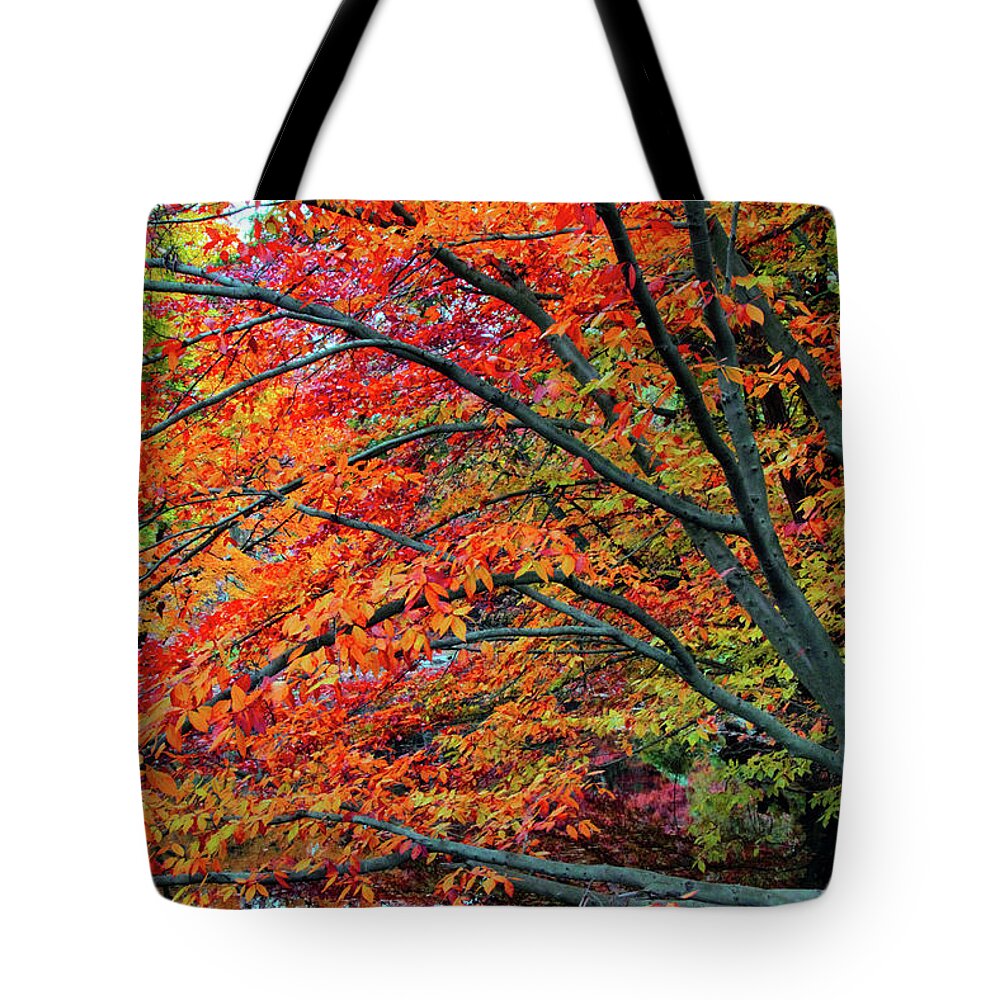 Autumn Tote Bag featuring the photograph Flickering Foliage by Jessica Jenney