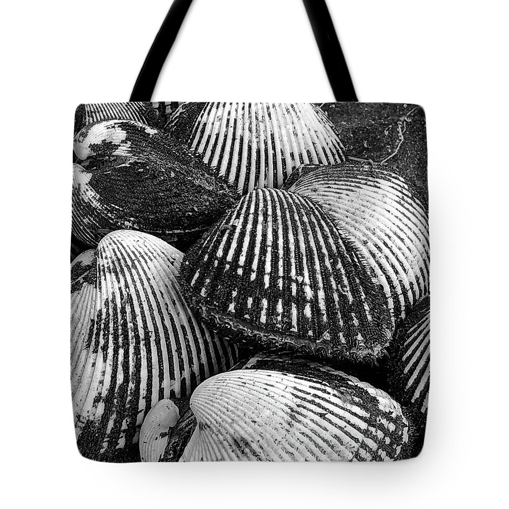 Clams Tote Bag featuring the photograph Clambake by William Scott Koenig
