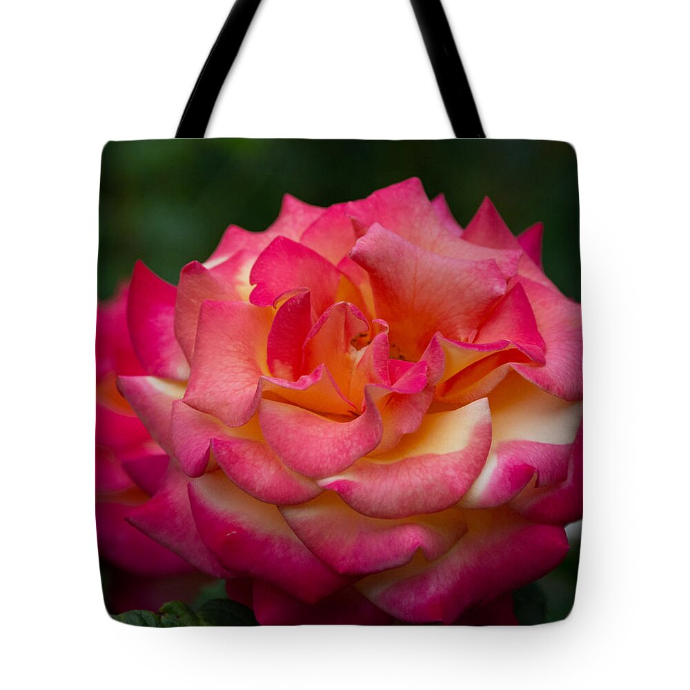 Rose Tote Bag featuring the photograph Classic Beauty with a Twist by Linda Bonaccorsi