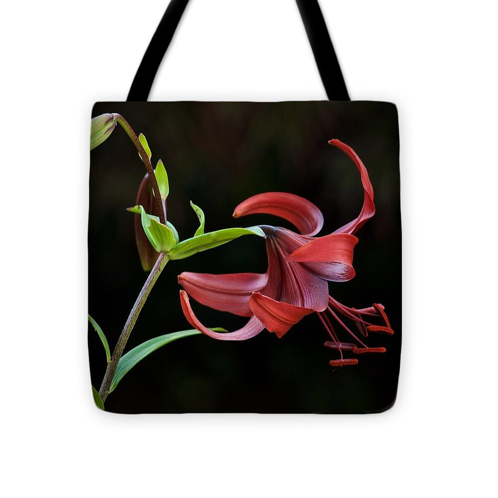 Lily Tote Bag featuring the photograph Classic Lily by Richard Cummings