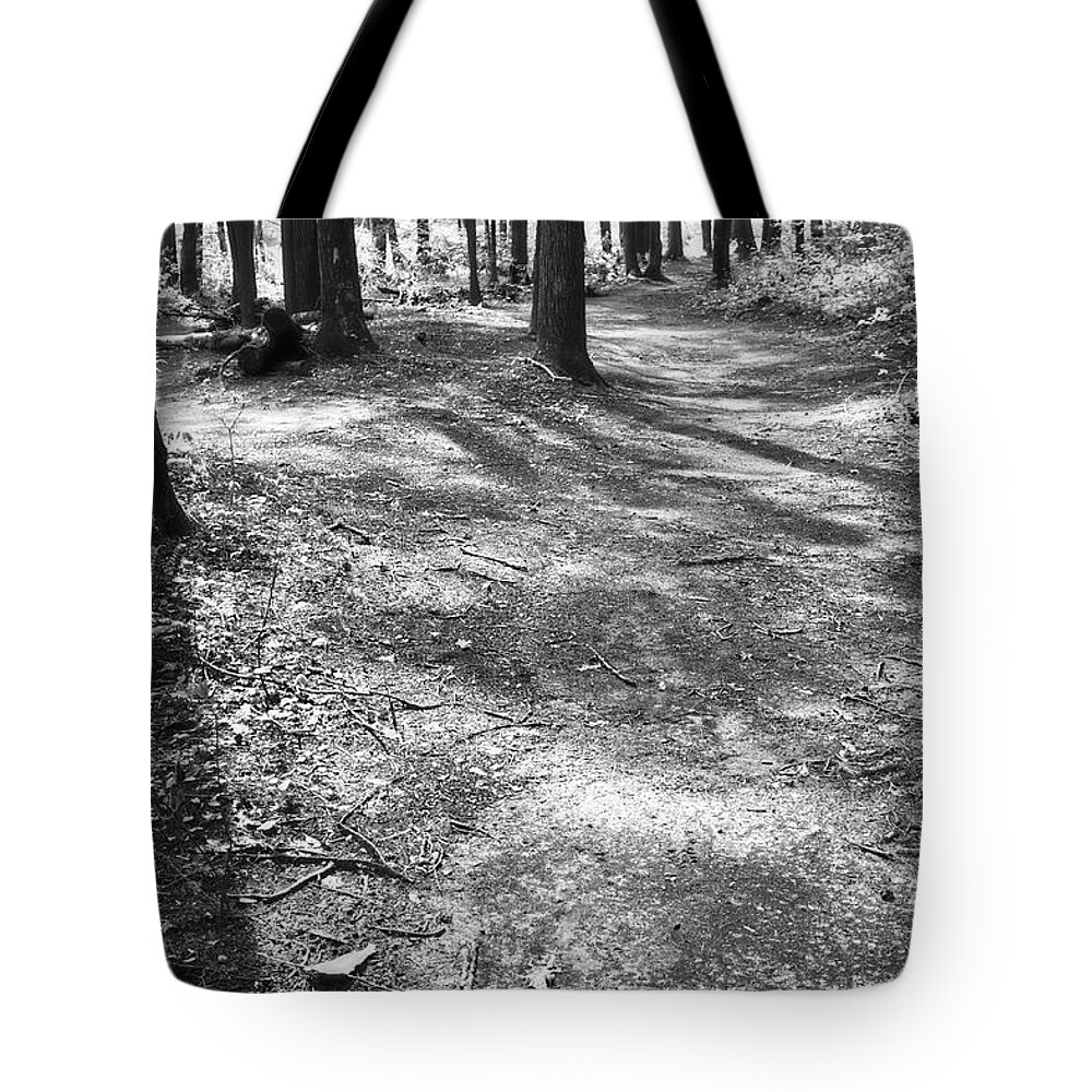 Tennessee Tote Bag featuring the photograph Clear Creek At Obed 2 by Phil Perkins