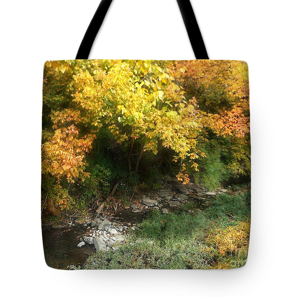 Fall Tote Bag featuring the photograph Clear Creek by David Neace CPX