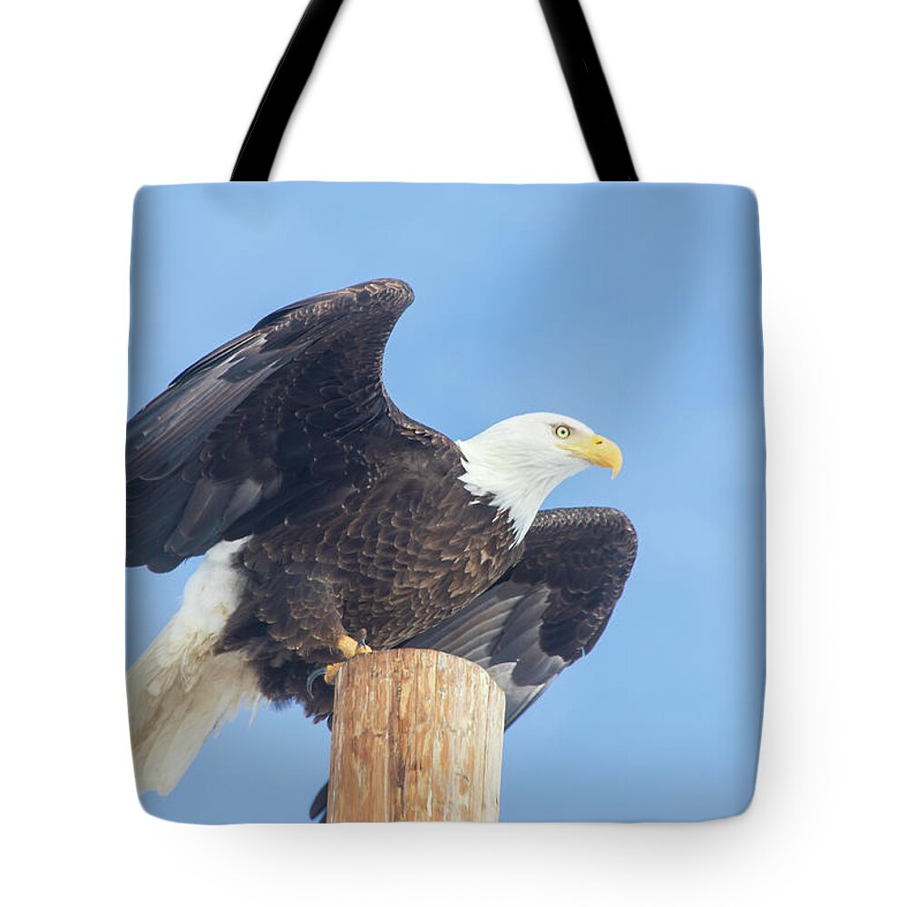 Lassen Tote Bag featuring the photograph Clear for Takeoff by Mike Lee