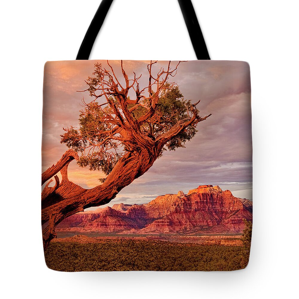 Dave Welling Tote Bag featuring the photograph Clearing Storm And West Temple South Of Zion National Park by Dave Welling