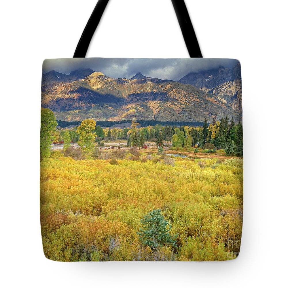Dave Welling Tote Bag featuring the photograph Clearing Storm Blacktail Ponds Grand Tetons National Park by Dave Welling
