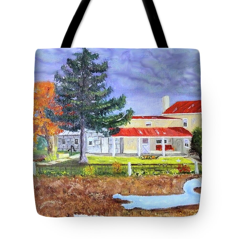 Country Tote Bag featuring the painting Clearing Storm by Joel Smith