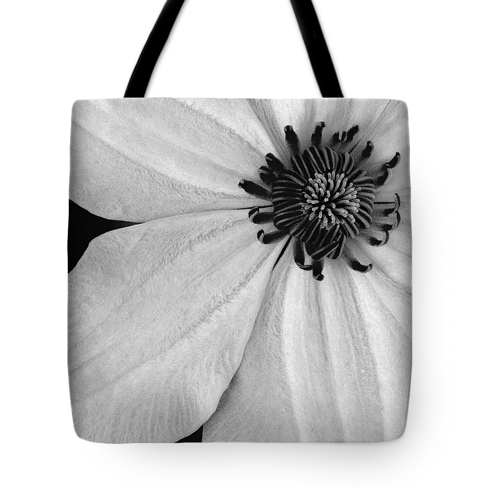 Clematis Tote Bag featuring the photograph Clematis Flower BW by Susan Candelario
