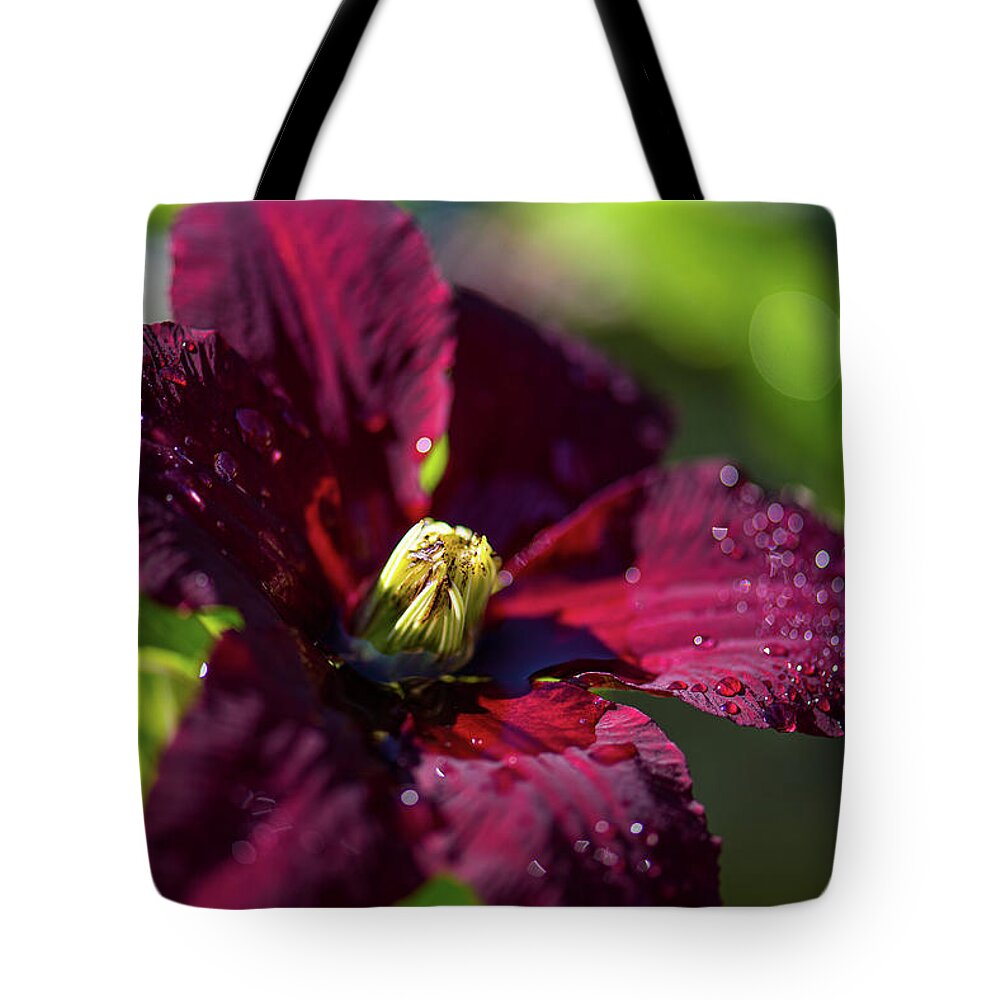 Flower Tote Bag featuring the photograph Clematis Unfolding by Lynn Thomas Amber