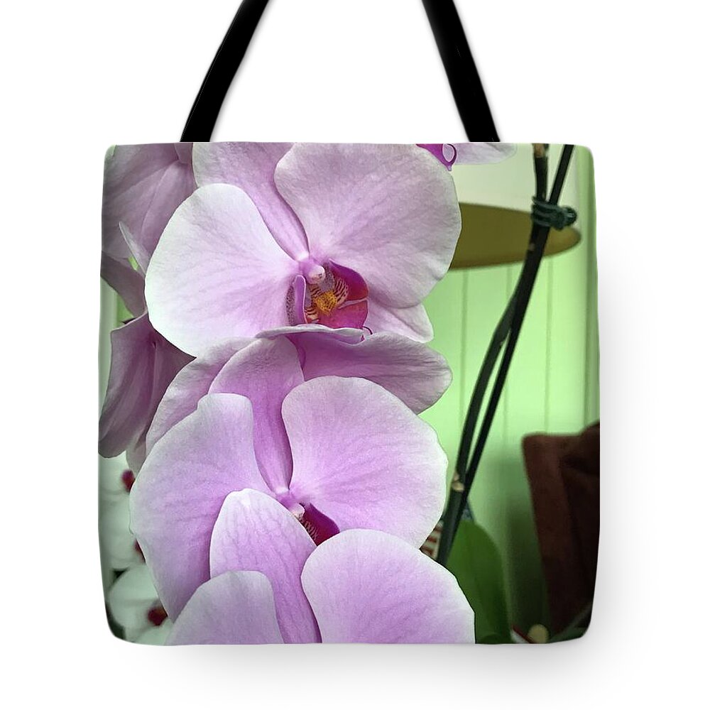 Pink Tote Bag featuring the photograph Climbing the Ladder by Vivian Aumond