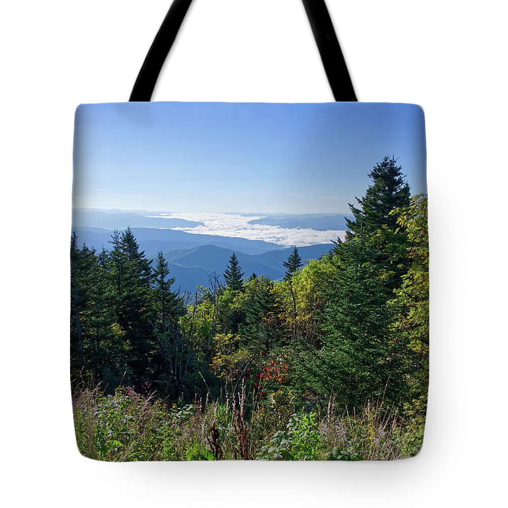 Clingmans Dome Tote Bag featuring the photograph Clingmans Dome 18 by Phil Perkins