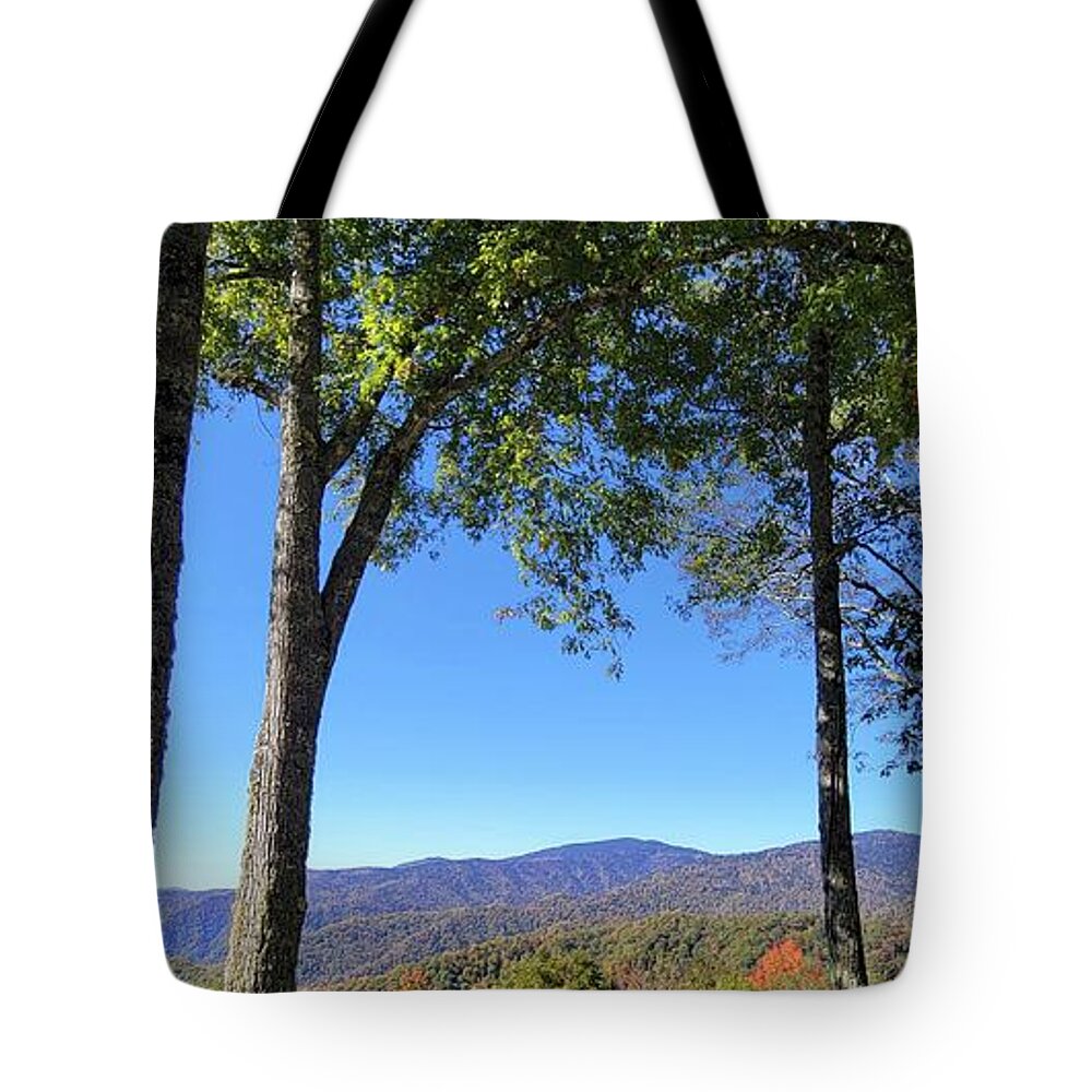Mountain Tote Bag featuring the photograph Clingman's Dome in the Distance by Ally White