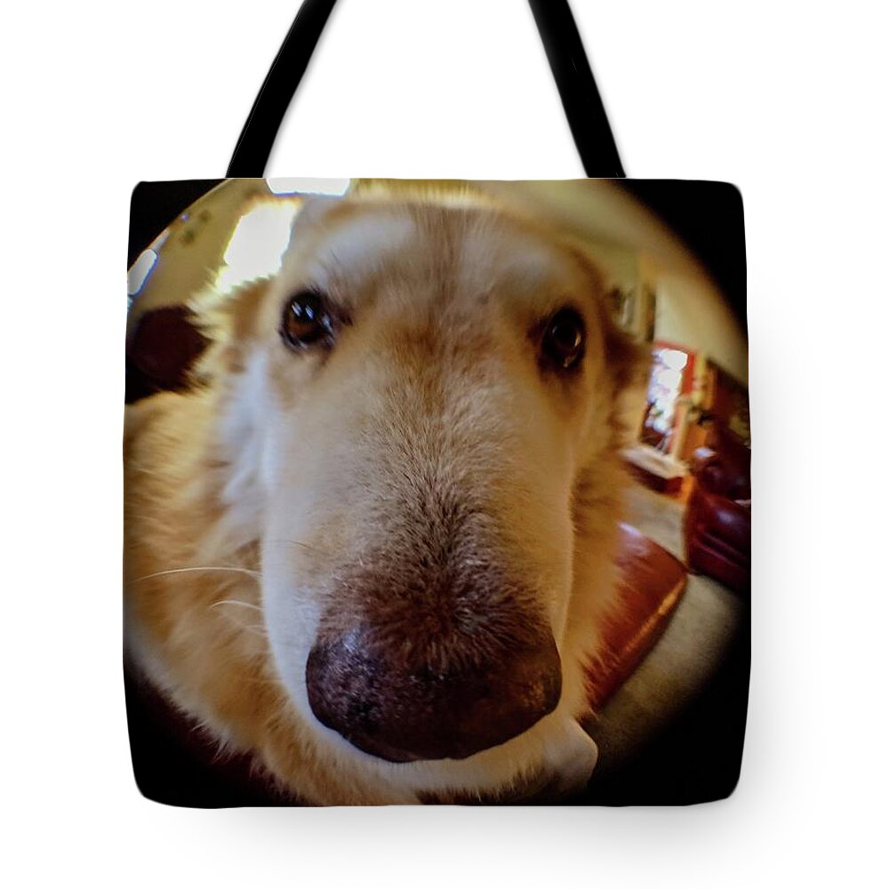  Tote Bag featuring the photograph Close In Doggy by Brad Nellis