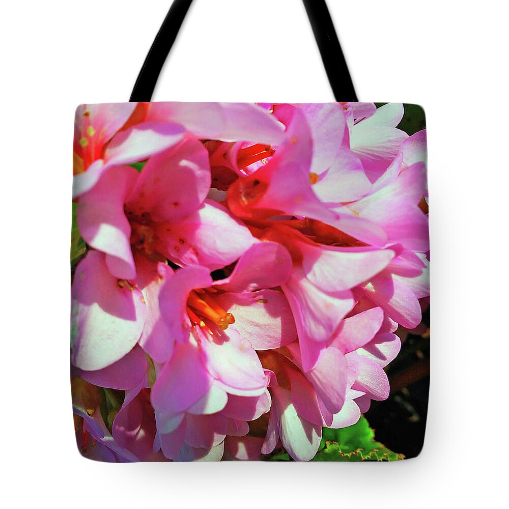 Bergenia Cordifolia Tote Bag featuring the photograph Close To Me by Jasna Dragun