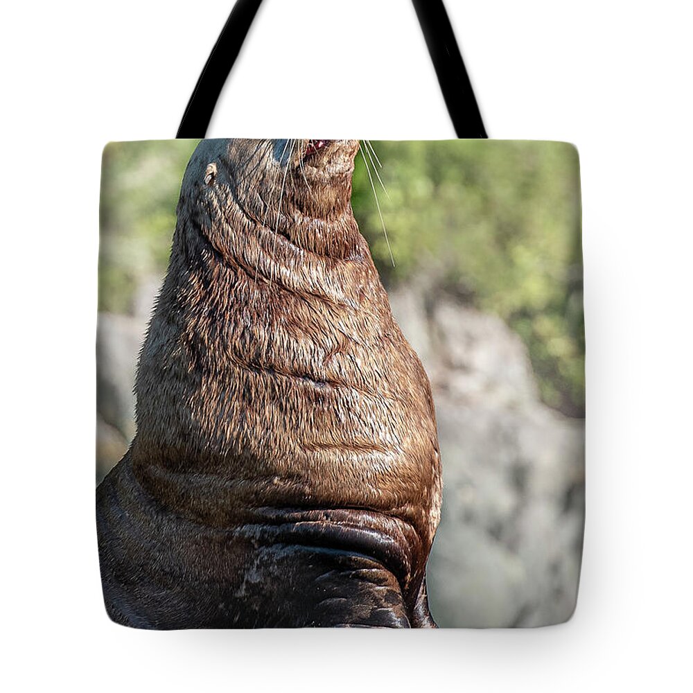 Seal Tote Bag featuring the photograph Close Up by Canadart -