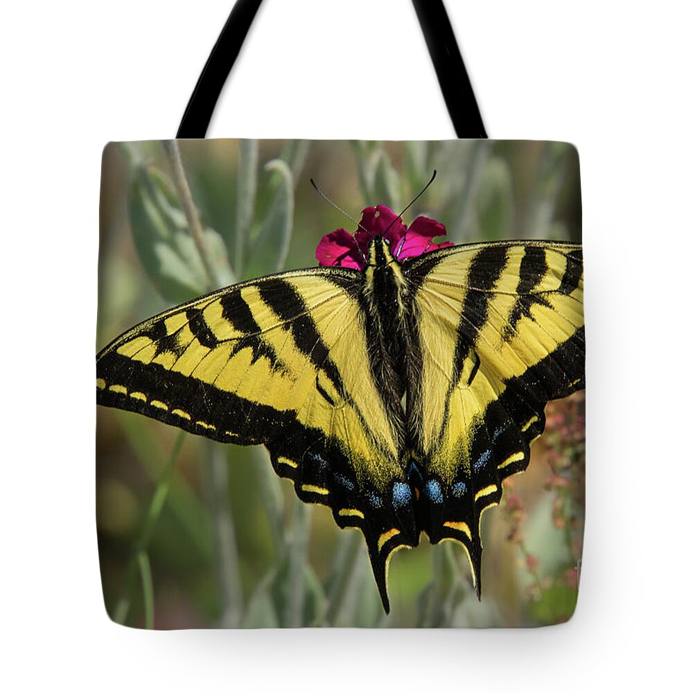 Lepidoptera Tote Bag featuring the photograph Close-up Western Tiger Swallowtail by Nancy Gleason