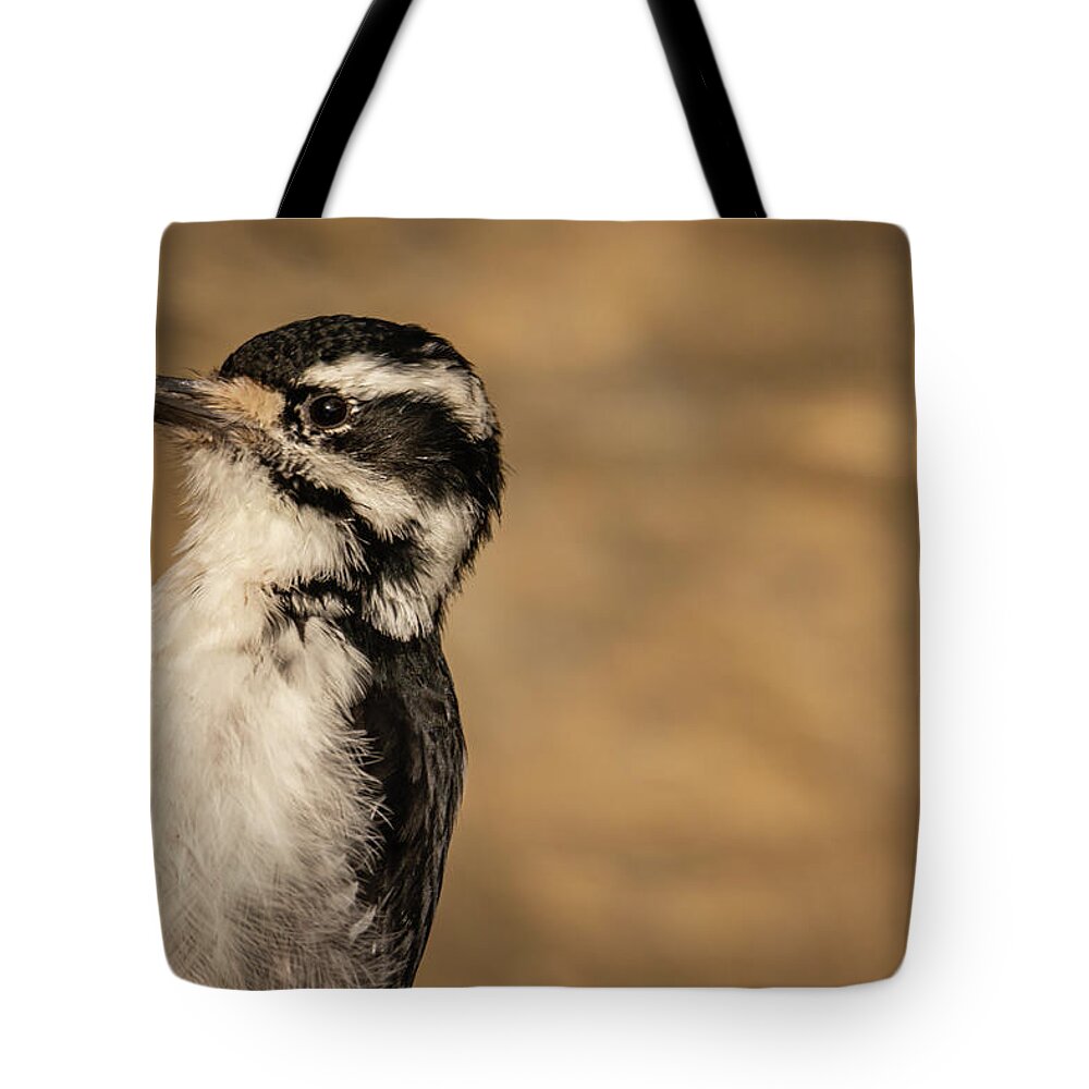 Hairy Woodpecker Tote Bag featuring the photograph Closeup of a Hairy Woodpecker by Constance Puttkemery