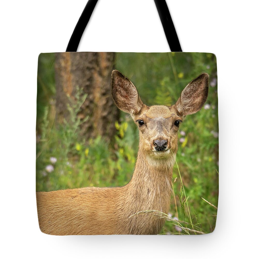 Deer Tote Bag featuring the photograph Closeup of a Mule Deer by Constance Puttkemery