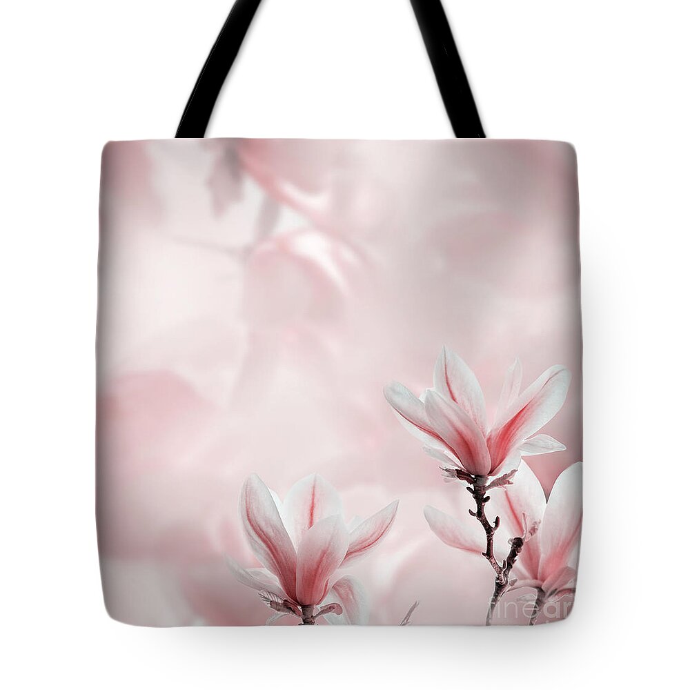 Magnolia Tote Bag featuring the photograph Closeup of blooming magnolia tree in spring by Jelena Jovanovic
