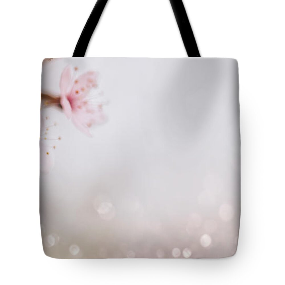 Blossom Tote Bag featuring the photograph Closeup of cherry blossom flower on bokeh pastel background. Mac by Jelena Jovanovic
