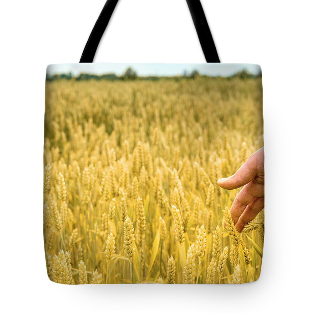 Wheat Tote Bag featuring the photograph Closeup of farmer's hand over wheat by Jelena Jovanovic