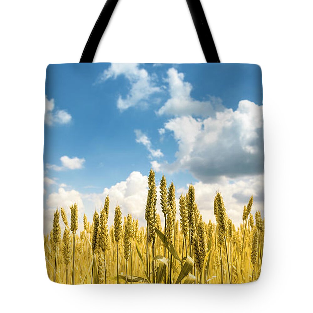 Wheat Tote Bag featuring the photograph Closeup of golden wheat ears in field in summer season by Jelena Jovanovic