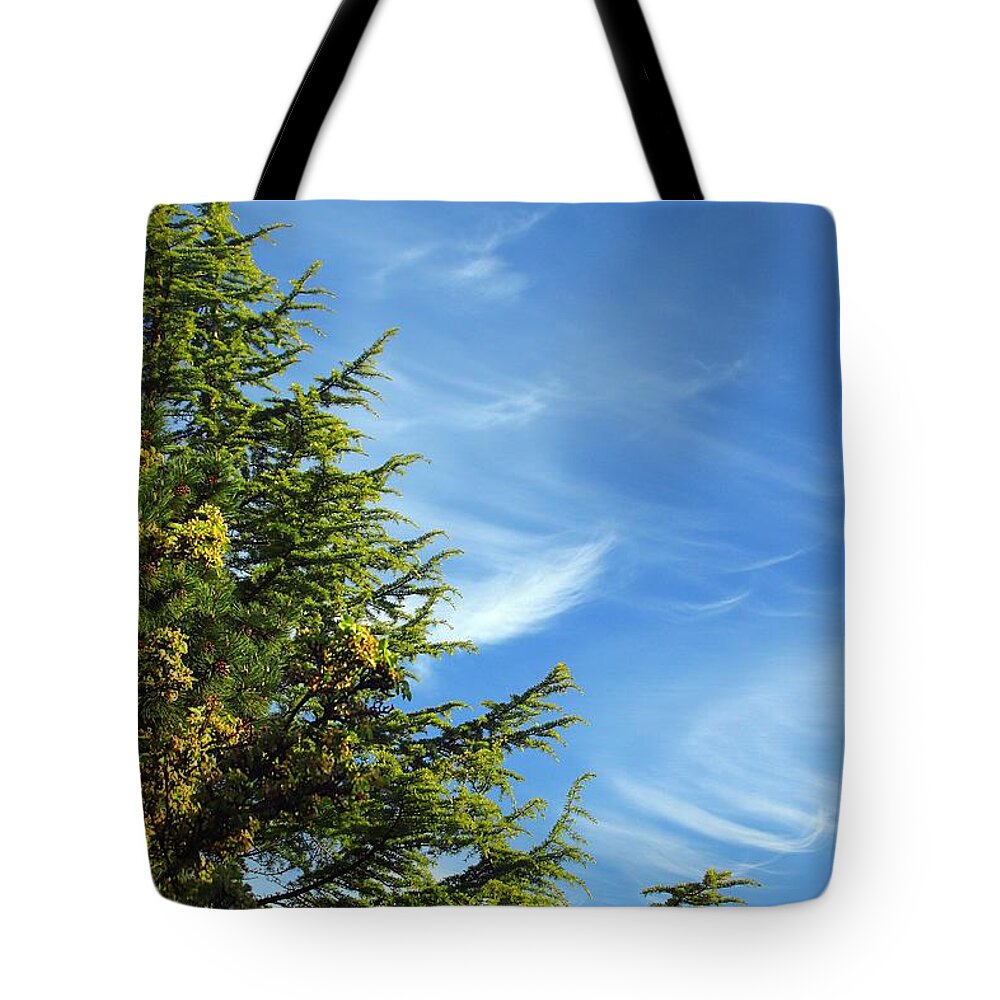 Clouds Tote Bag featuring the photograph Clouds Imitating Trees by Kimberly Furey