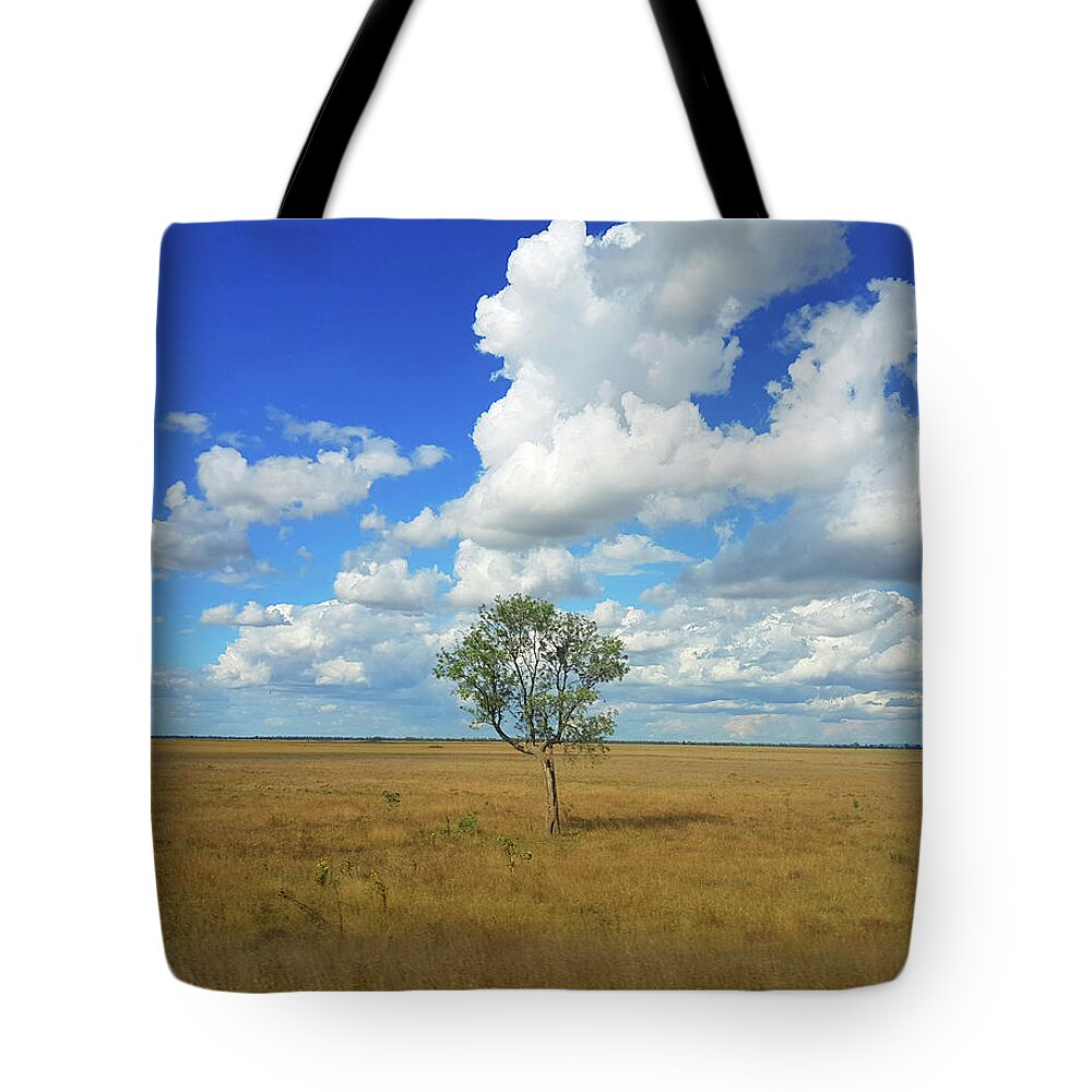 Tree Tote Bag featuring the photograph Clouds over a Lone Tree by Andre Petrov
