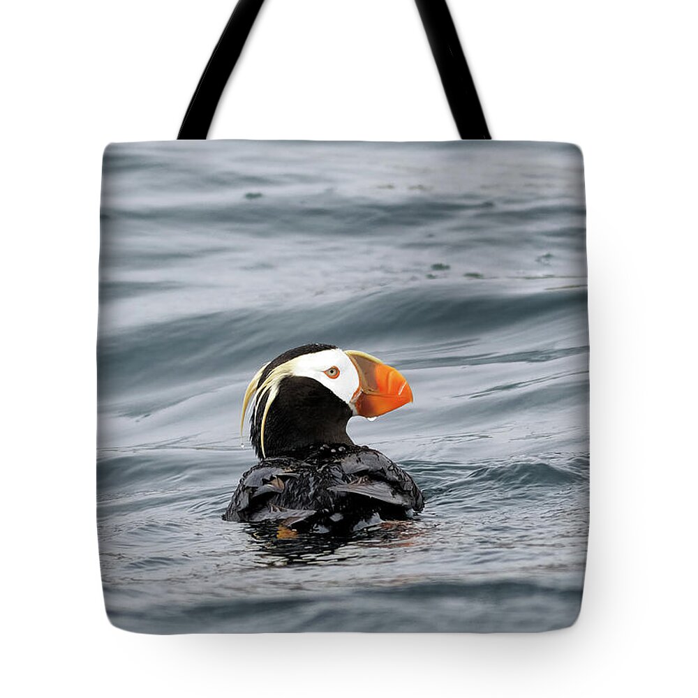 Puffin Tote Bag featuring the photograph Clown Bird Puffin by Natural Focal Point Photography