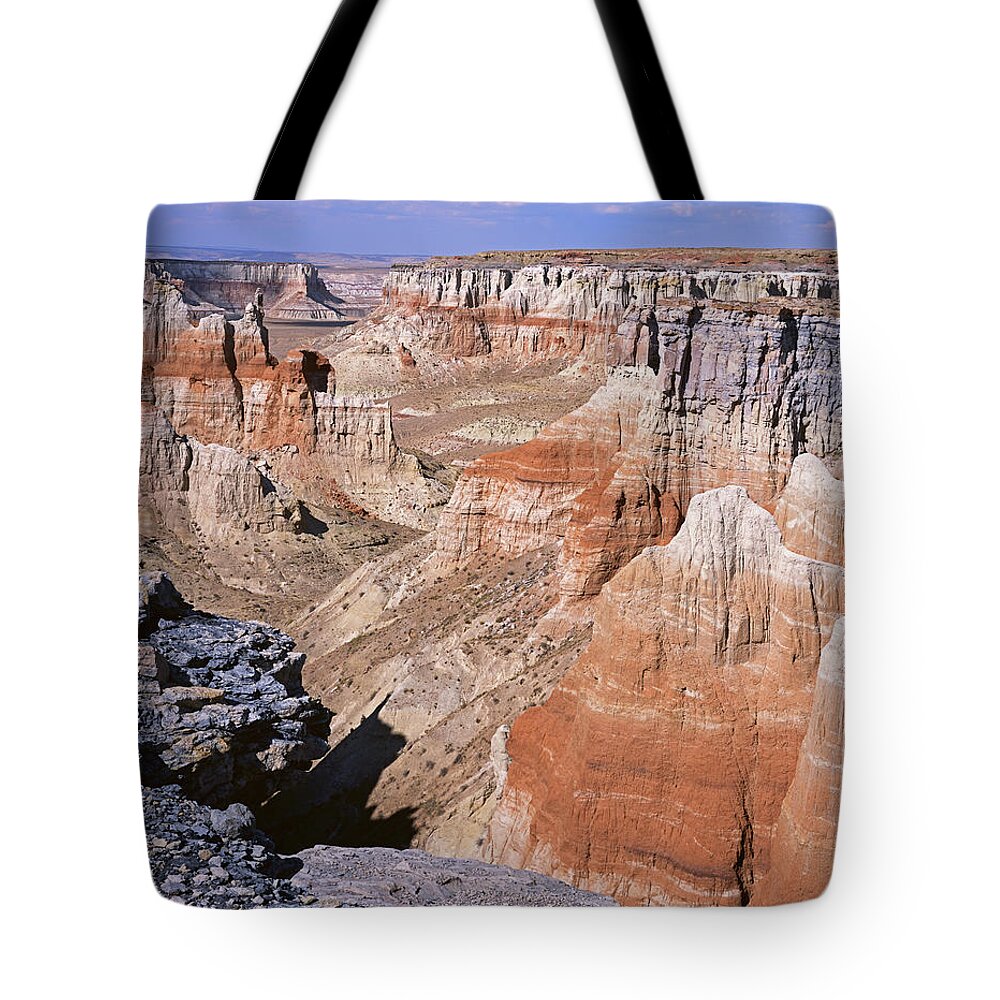 Arizona Tote Bag featuring the photograph Coal Mine Rim by Tom Daniel