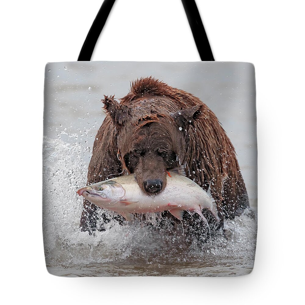 Coastal Tote Bag featuring the photograph Coastal Brown Bear with Salmon III by Gary Langley