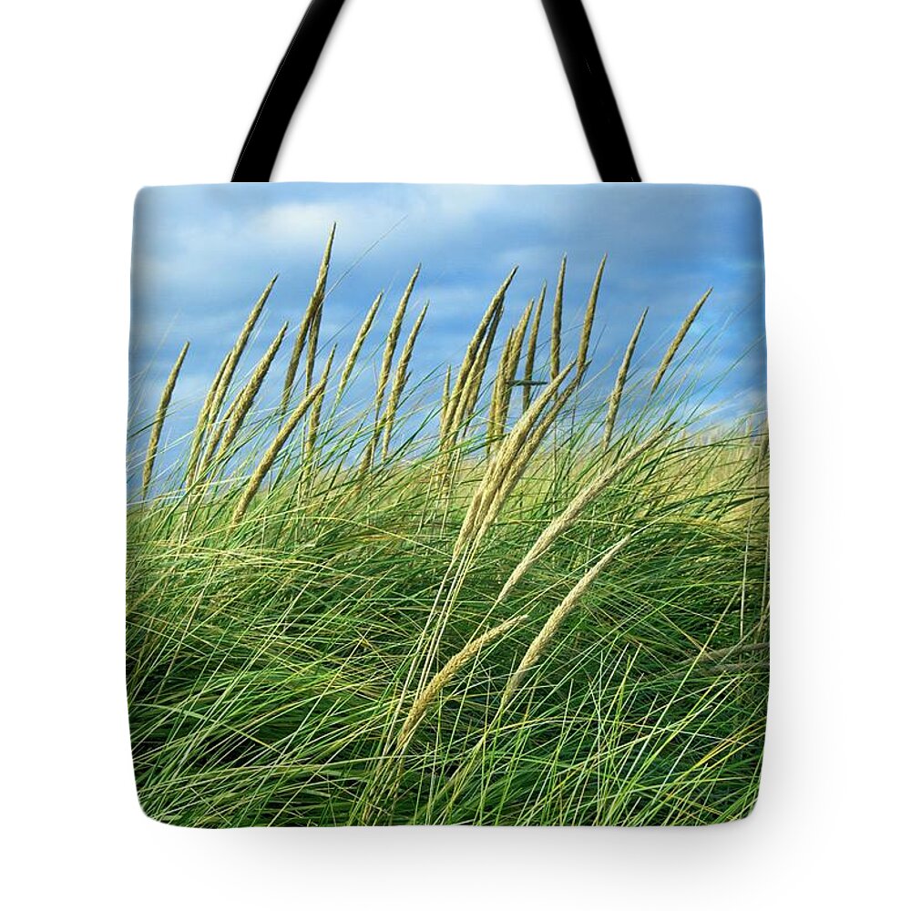 Beautiful Tote Bag featuring the photograph Coastal Grass by David Desautel
