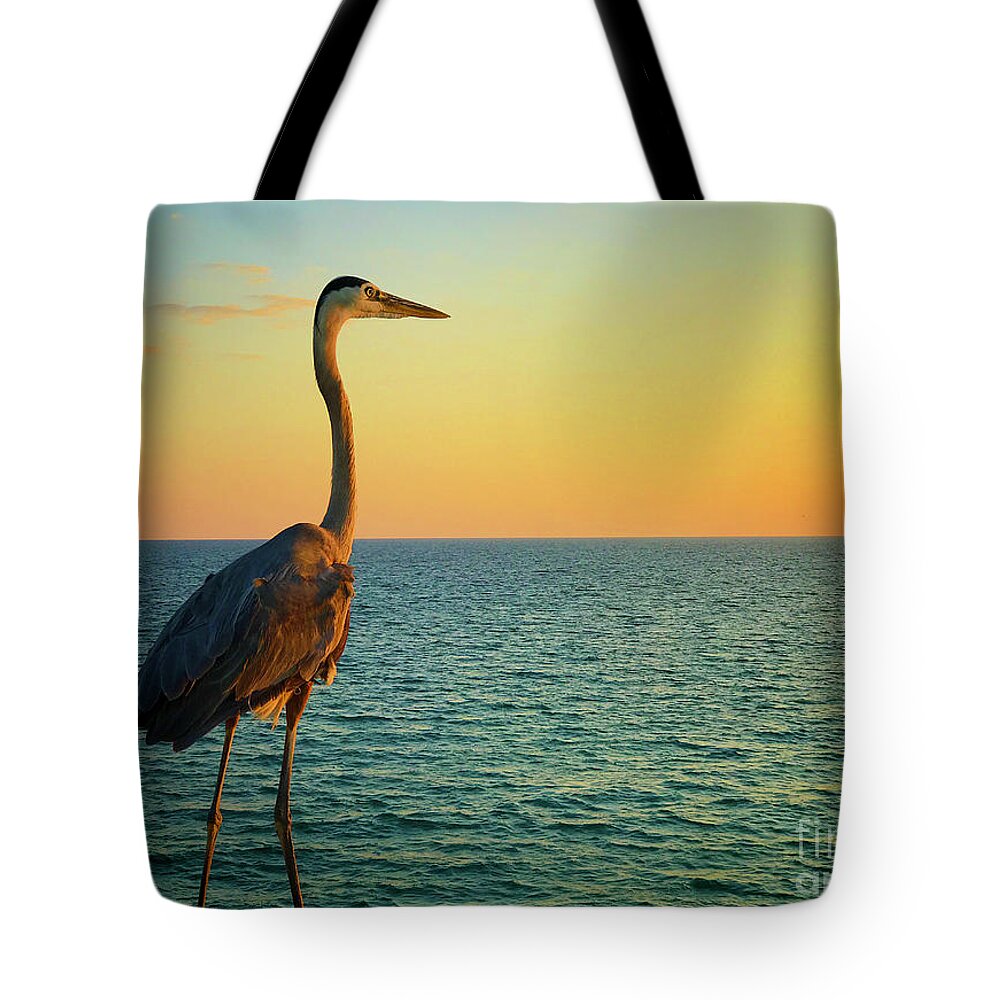 Bird Tote Bag featuring the photograph Coastal Life by Bob Mintie