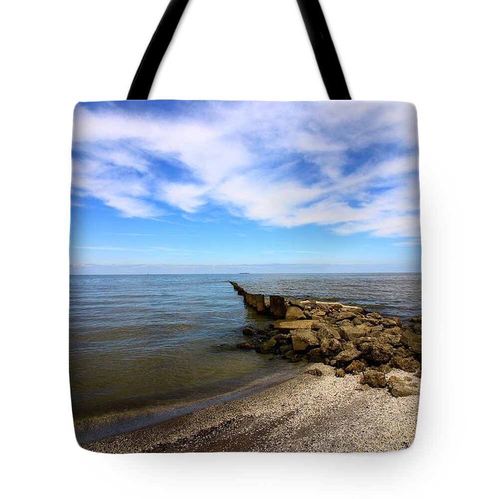 Lake Erie Tote Bag featuring the photograph Coastal Ohio Series 1 by Mary Walchuck