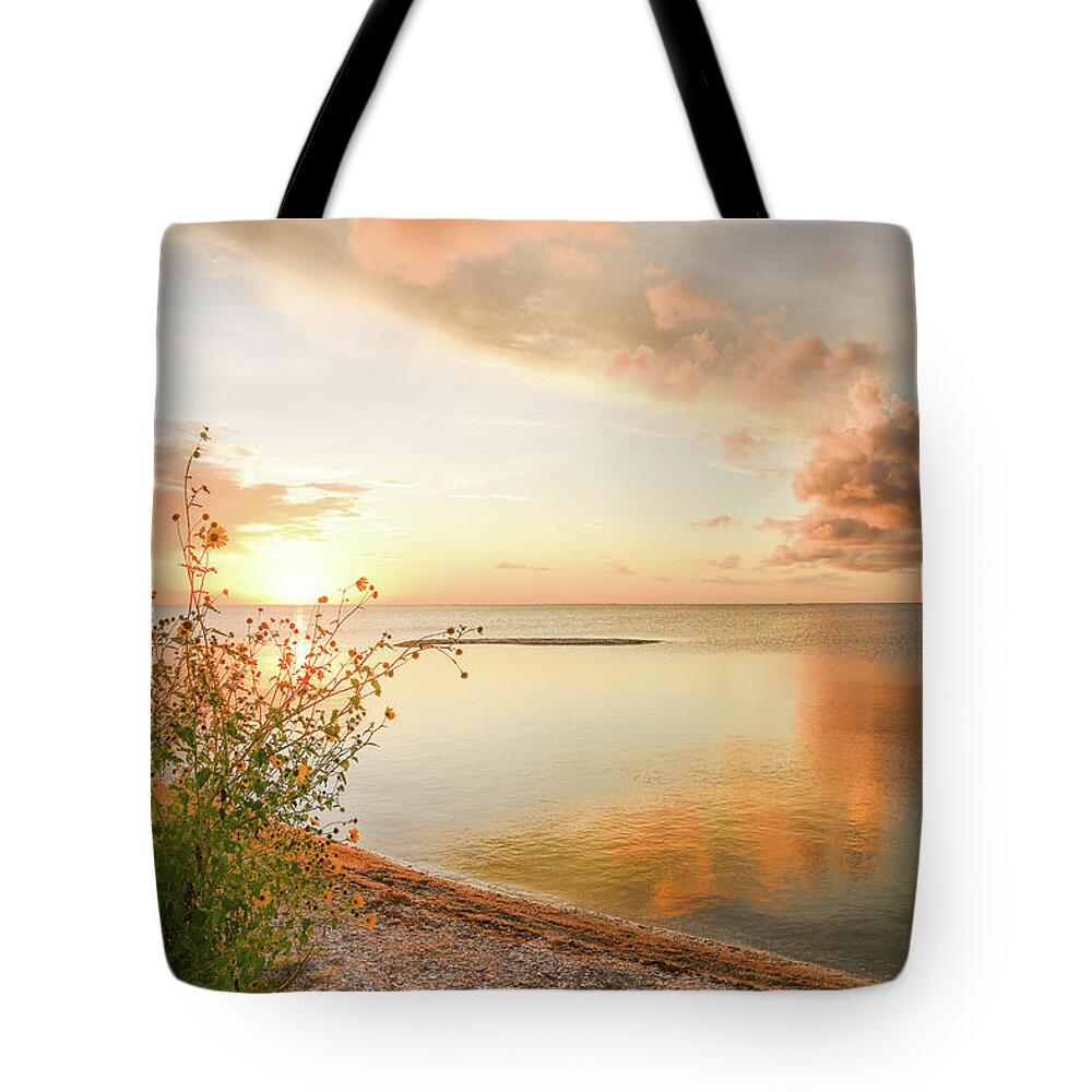 Coast Tote Bag featuring the photograph Coastal Sunset by Christopher Rice