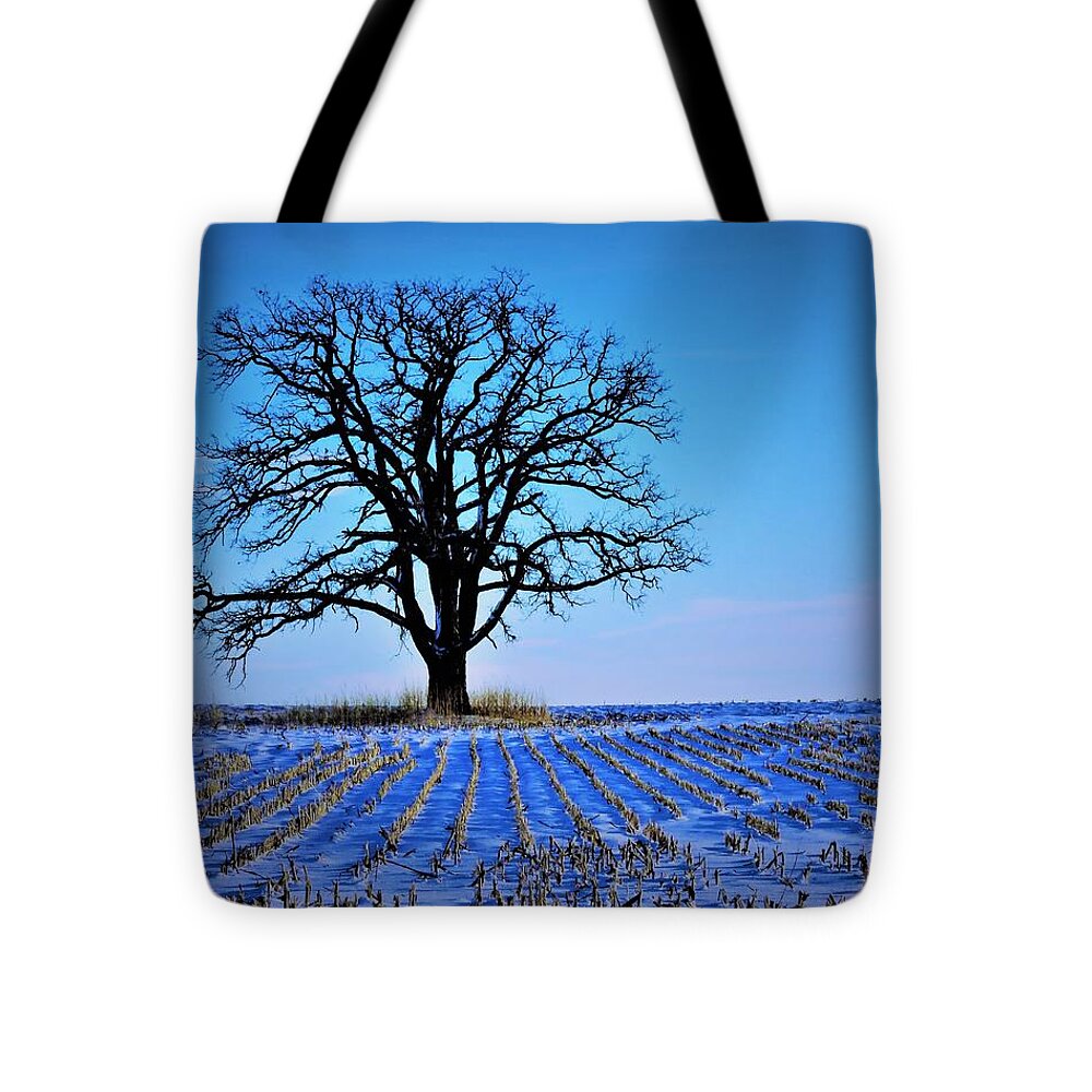 Trees Tote Bag featuring the photograph Cold November Morning by Lori Frisch