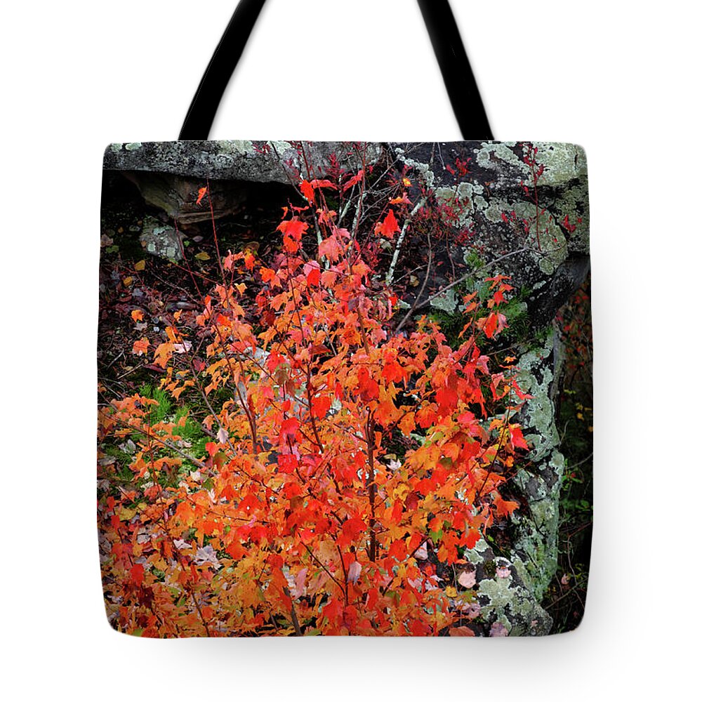 Rock Formations Tote Bag featuring the photograph Color and the Rock by George Taylor