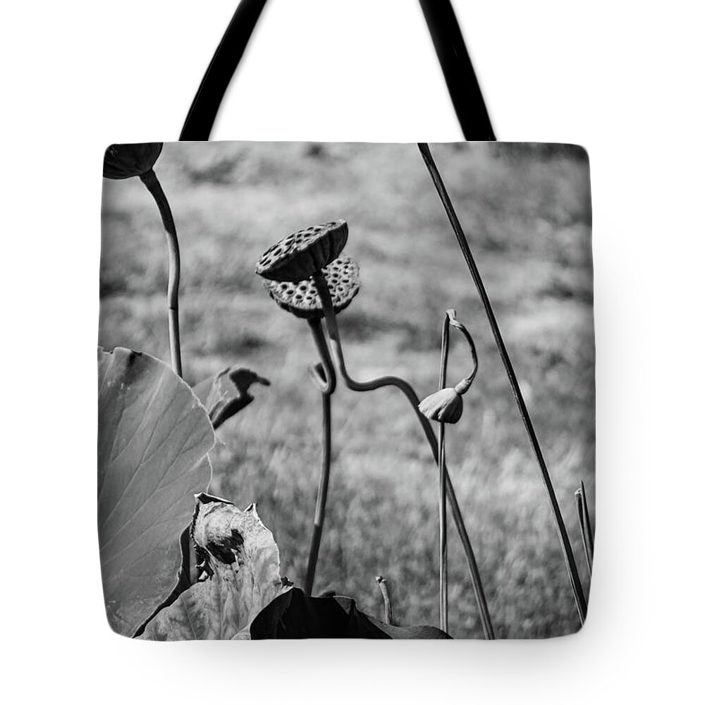 Nature Tote Bag featuring the photograph Color me gone by Stewart Helberg