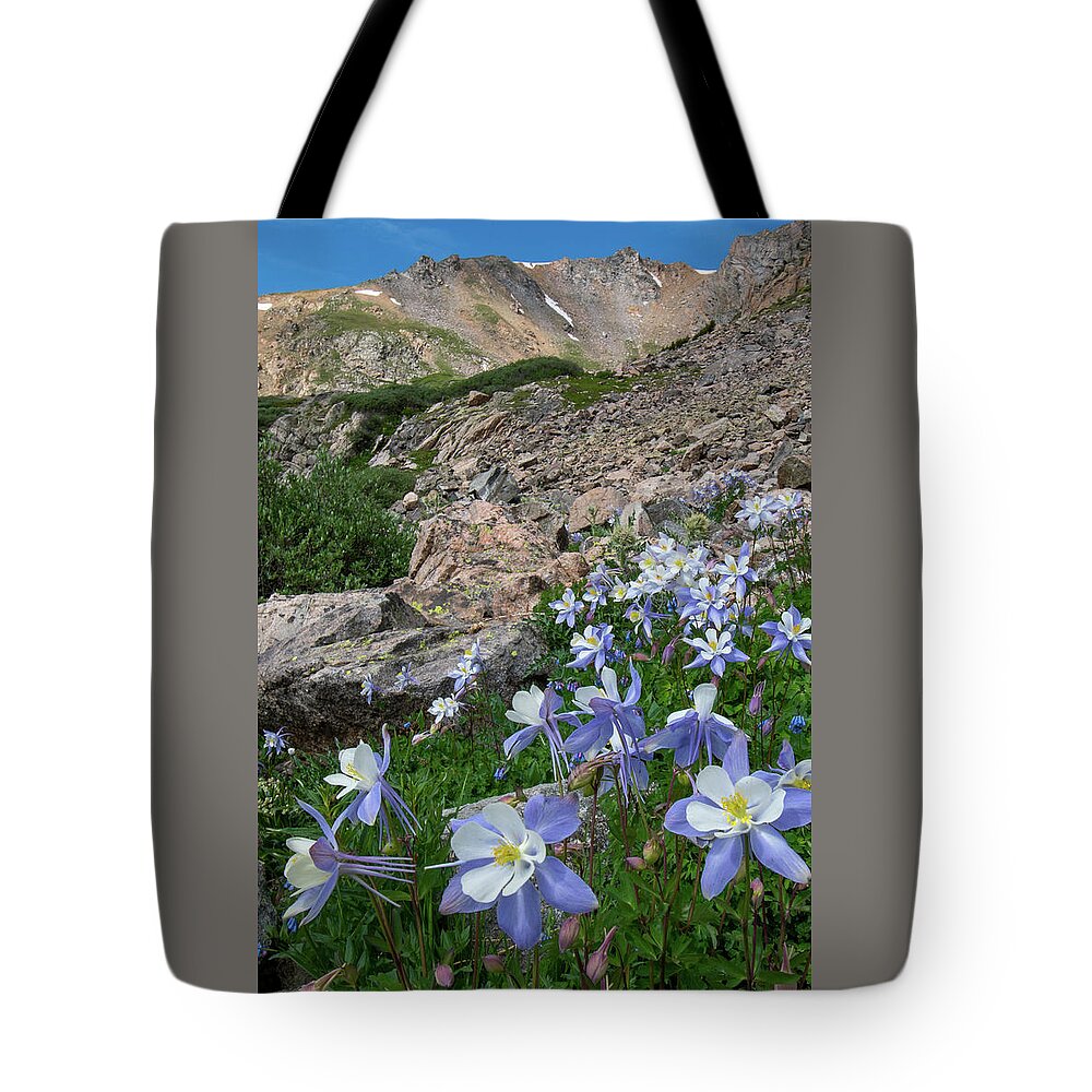 Colorado Tote Bag featuring the photograph Colorado Columbine in the Alpine by Cascade Colors