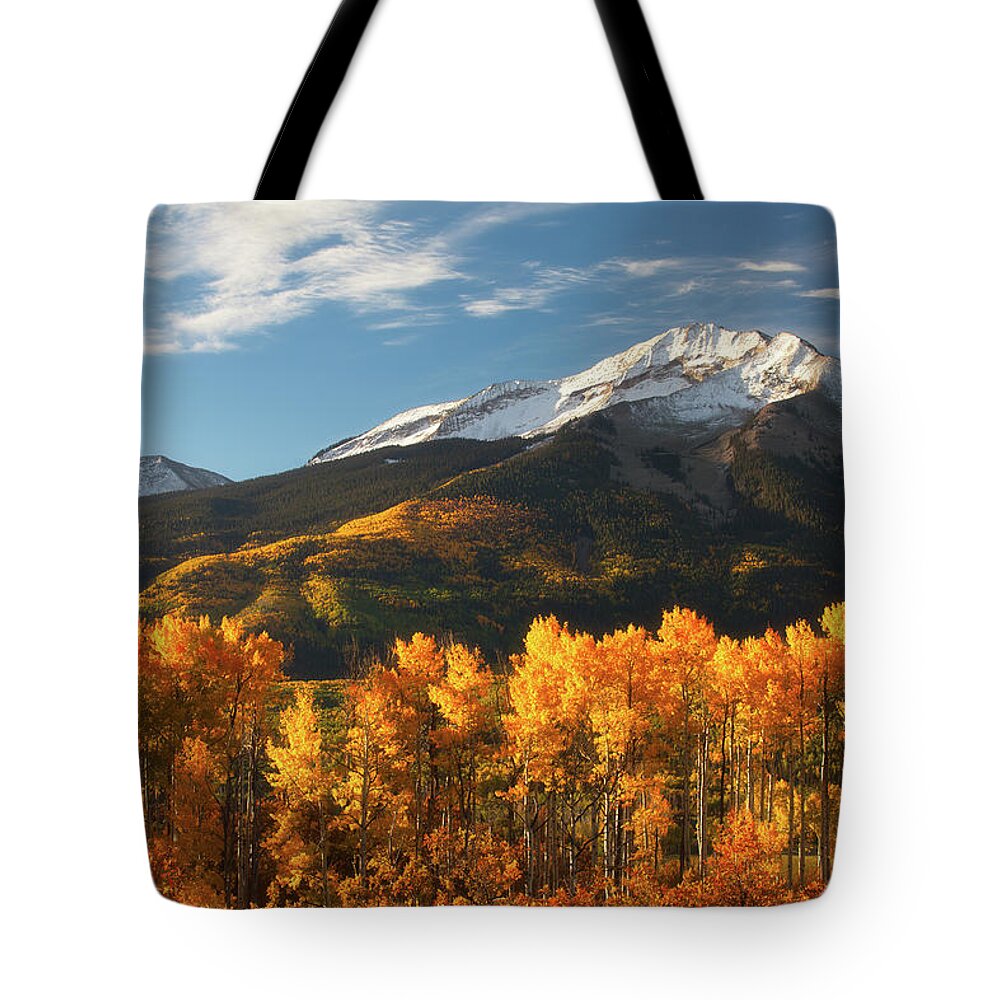 Aspen Tote Bag featuring the photograph Colorado Gold by Darren White